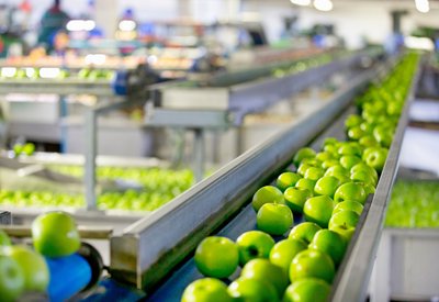 assembly line with green apples
